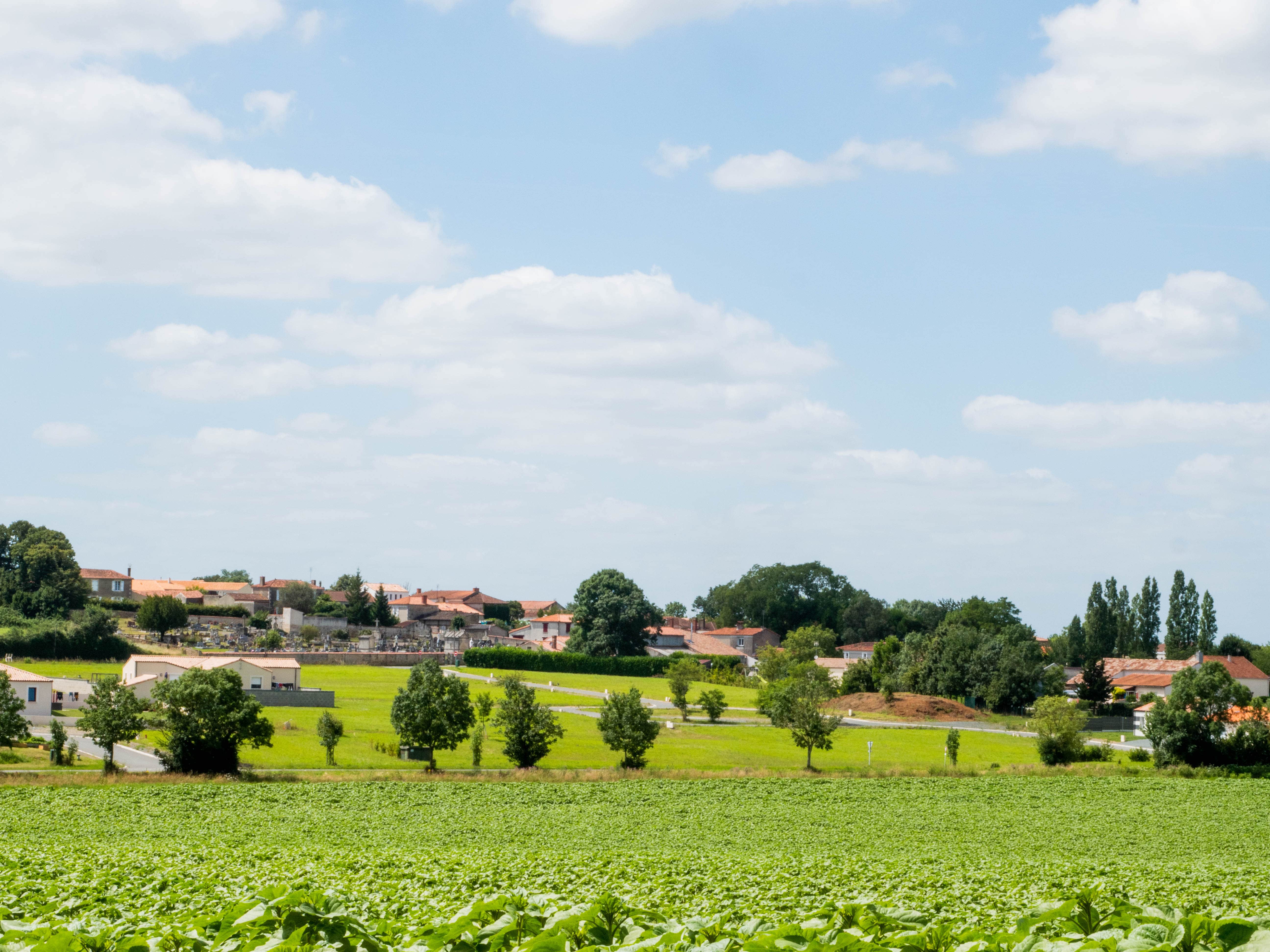 recherche-terrain-à-bâtir-vendee-charente-maritime-deux-sevres